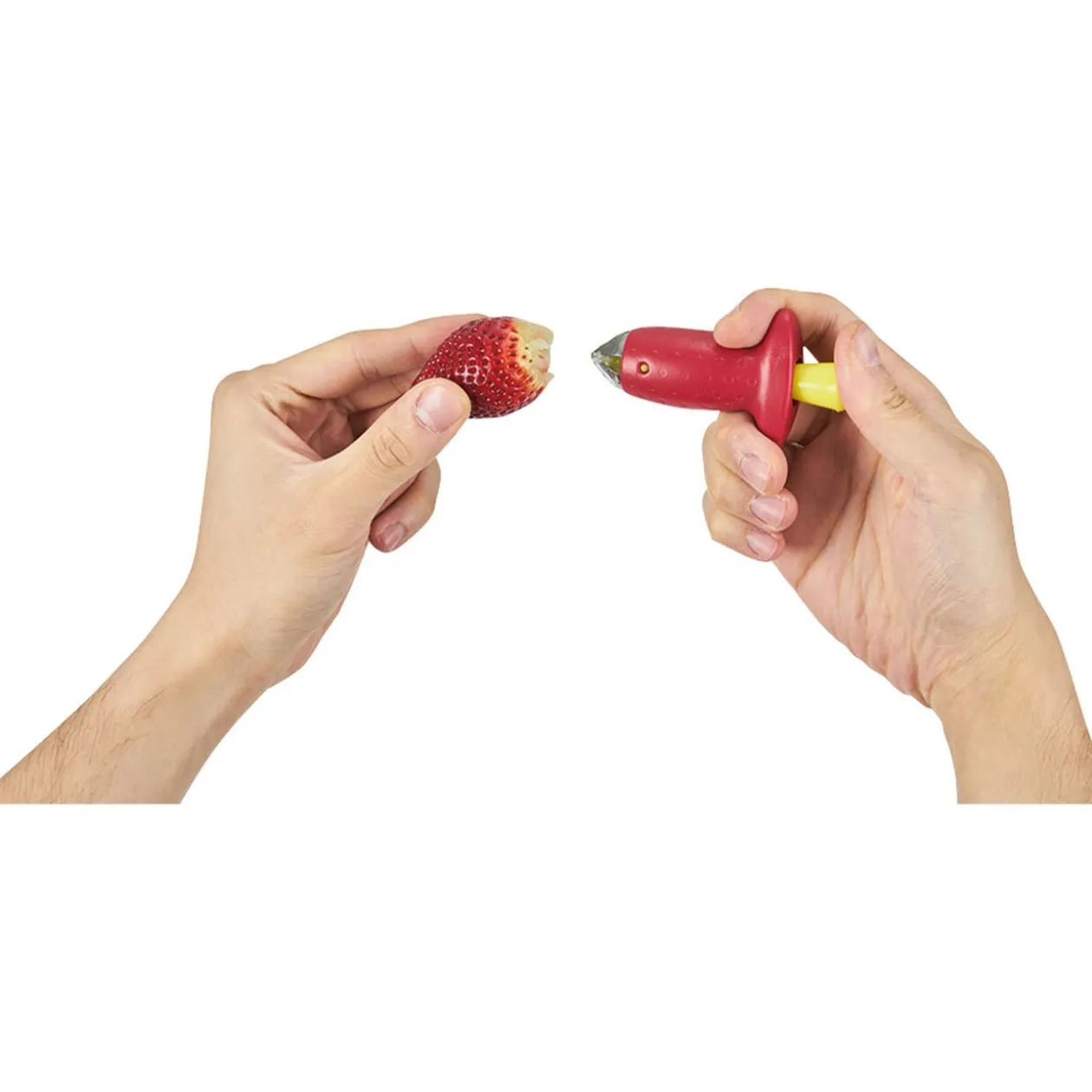 Équeuteur à fraises inox