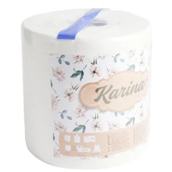 Rouleau essuie-tout ménager Karina multiusage 2 plis