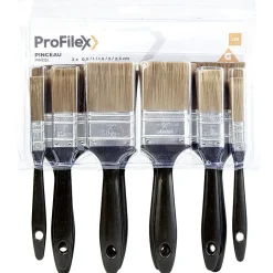 Set de 10 pinceaux Profilex