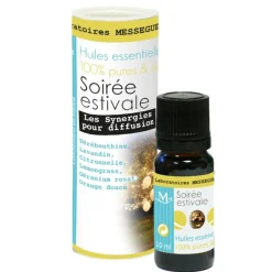 Synergie Soirée estivale Mességué