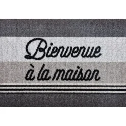 Tapis d'entrée anti-poussières 60x40cm