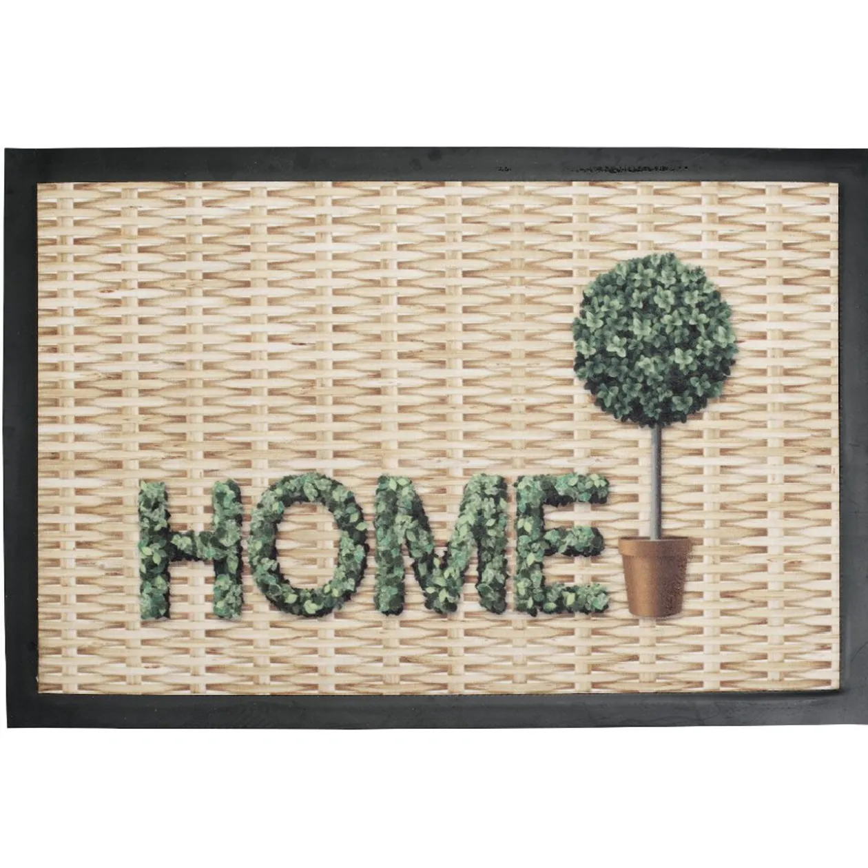 Tapis d'entrée 60x40cm