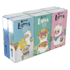 Étui de mouchoirs en papier