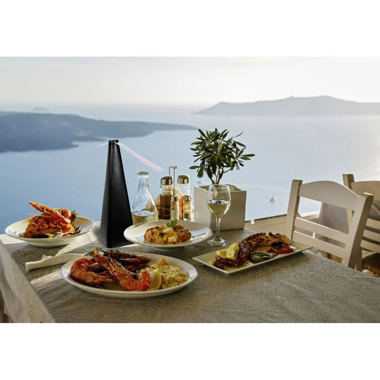 Ventilateur antimouche